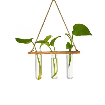 Ecofynd TTP008 Wooden Wall Hanging Test Tube Planter for Modern Indoor & Outdoor Decor (Pack of 2)
