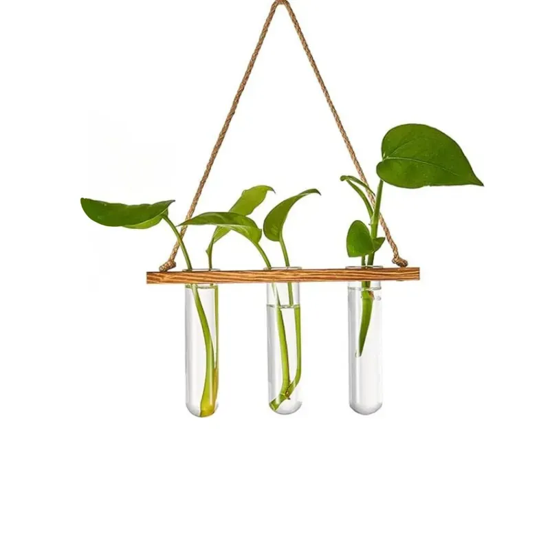 Ecofynd TTP008 Wooden Wall Hanging Test Tube Planter for Modern Indoor & Outdoor Decor (Pack of 2)