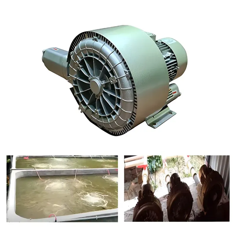 Yash Blowers YEBL-DS-88, 1 HP Double Stage Ring Blower for Agitate and Aerate Water in Fish Tank/Aquaculture Tank/Plating Tank