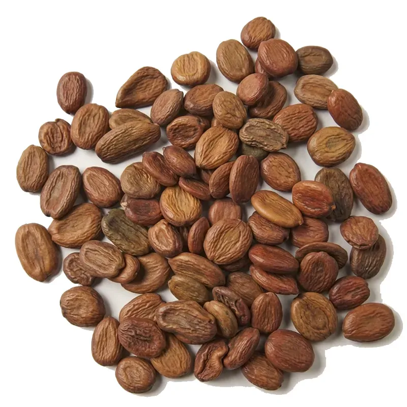 Pioneer Agro Albizia Odoratissima (Sila Vaagai) Tree Seed (500g)