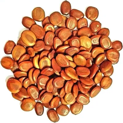 Pioneer Agro Albizia lebbeck Fry wood (Vagai seed) Women's tongue Tree Seed, (100g)