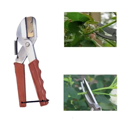 Alloy Steel Pruning Secateurs, Cutting Thickness upto 20 mm