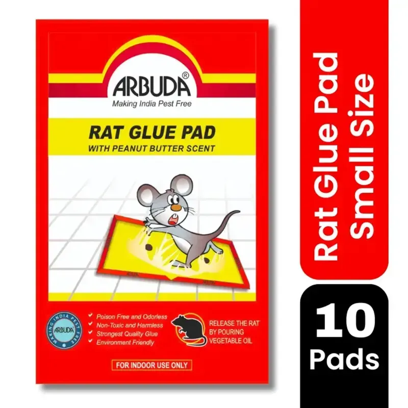 ARBUDA Rat Trap/ Mouse Glue Trap for Home, Kitchen, Garage, Warehouse Small Size Pack of 10