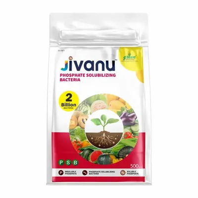 Green Revolution Jivanu 500 g PSB (Phosphate Solubilizing Bacteria)
