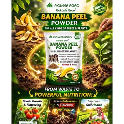 Pioneer Agro 1 kg Banana Peel Powder Organic Fertilizer for Plants and Gardening, Plant Nutrient Booster
