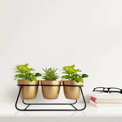 Ecofynd 4 Inch Bella Metal Planter, Modern Style Pot with Stand Planter Set for Home Decor