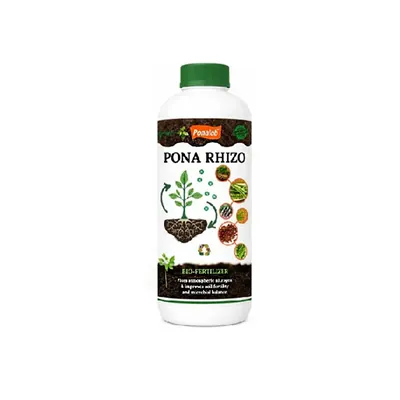 PONALAB PONARHIZO (250 ml) Bio-Fertilizer CFU 1 x 10^8 CFU/ml Rhizobium spp. Nitrogen Fixer for Groundnut, Soybean & Legume Crops