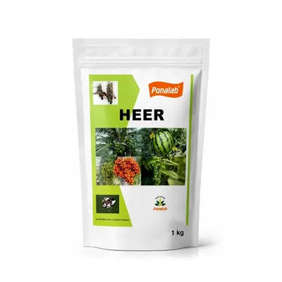 PONALAB 1 kg HEER Metarhizium Anisopliae Bio-Insecticide Powder (2 x 10^8 CFU/g) for Organic Pest Control against White Grubs