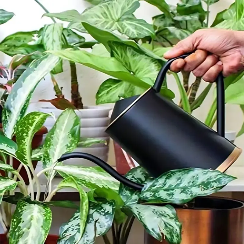 Metal Watering Can 1.5 Litre Black for Home Gardening/ Flower Watering Can for Home Use