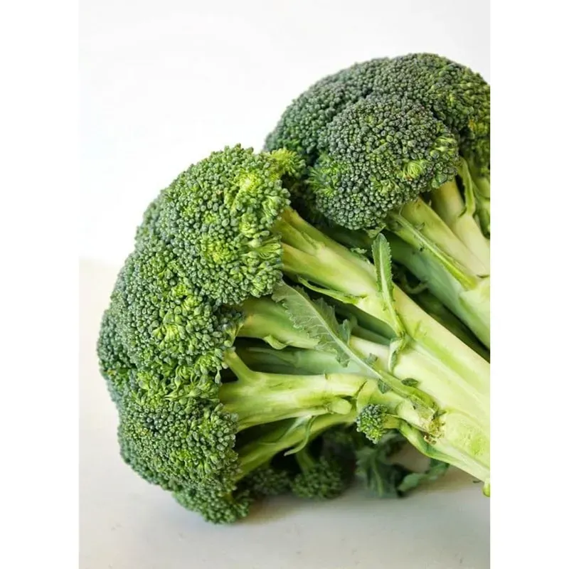 GEBDINSH Broccoli Vegetable Seeds for Home Kitchen Gardening and Terrace Farming