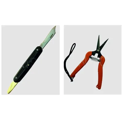 Unison Graft & Harvest Duo Set : 2 Blades Budding Knife & Straight Fruit Cutter, for Precision Gardening Tasks.