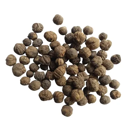 Pioneer Agro Burma Teak Wood Tectona Grandis (Treated Seeds) Seeds, 1 kg