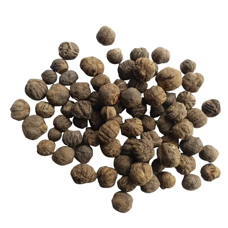 Pioneer Agro Burma Teak Wood Tectona Grandis (Treated Seeds) Seeds, 1 kg