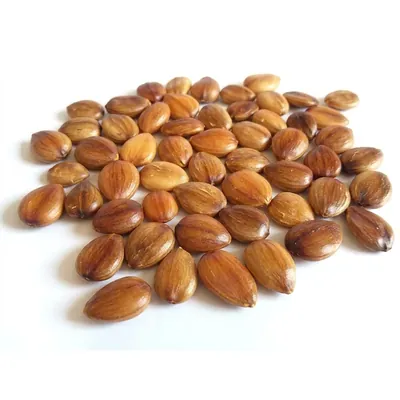 Pioneer Agro Cassia Fistual (Sarakkondrai) Tree Seeds 100G