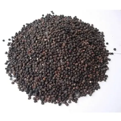 Pioneer Agro Ceiba Bentandra (Elavanpinju) Tree Seeds 500G