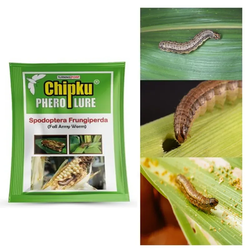 Chipku Pheromone Lure, Fall Army Worm Trap Lure (10 Pieces) For Maize, Rice, Sugarcane etc