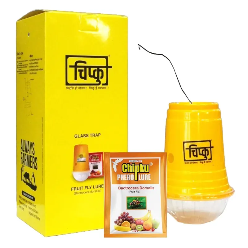 Chipku Glass Trap with Fruit Fly Lure To Trap Insect in Garden & Agriculture Field (Quantity-50 pcs)