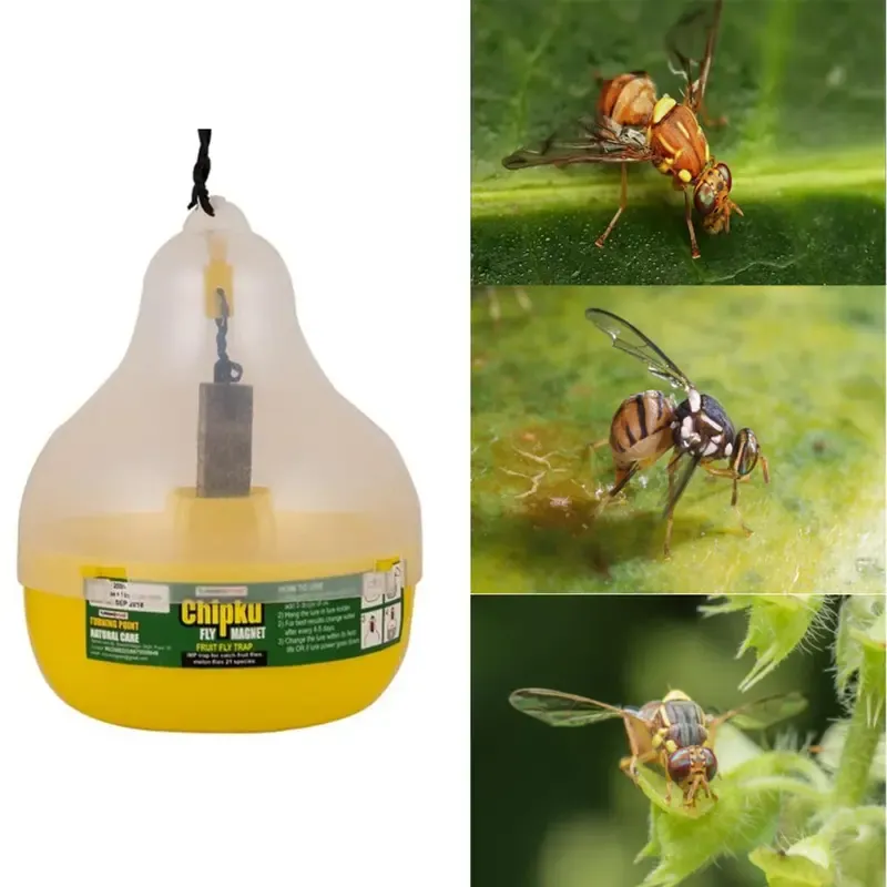 Chipku Pear Shaped Trap For Fruit Fly Lure (Pack Of 10)