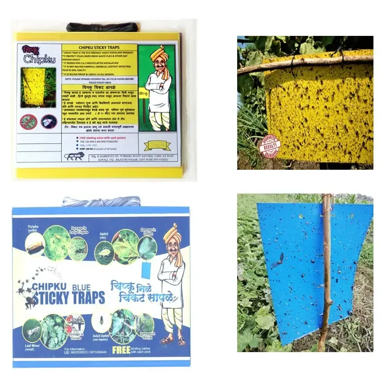 Chipku A5 Size Yellow & Blue Sticky Traps Of 150 x 200 mm (Pack-10 Pcs)