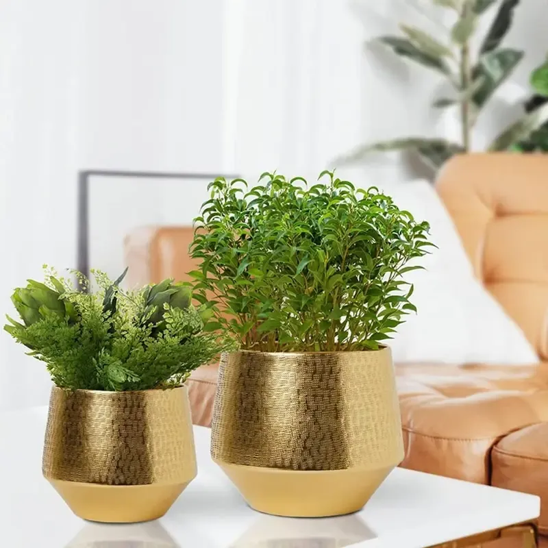 Ecofynd Decorative Modern Indoor Planter Flower Pot, Home Garden Decor Planter for Living Room, Bedroom (Pack of 2)