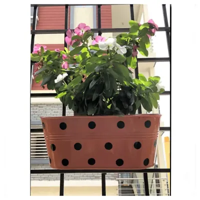 Ecofynd 30 cm Raven Railing Planters, Hanging Pots for Balcony-Pack of 6 (EC18004-11-103-62)