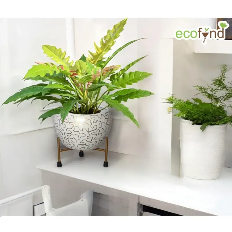 Ecofynd White and Gold Desk Planter, Used for Indoor Outdoor Plants/Home Decor