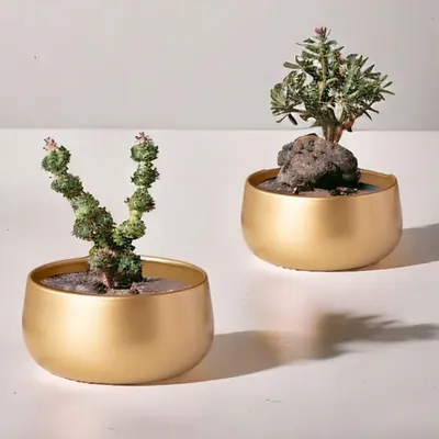 Ecofynd Metal Plant Pots with Drainage Hole, Home Garden Planter for Living Room Bedroom Interior (Gold Finish, POT016)