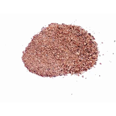 Pioneer Agro Ficus religiosa Tree seeds, Arasa Maram Seeds, (100g)