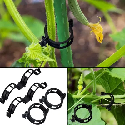 Ecofynd Plant Support Garden Clips, Garden Trellis Clips, Fruits, Flower to Grow Upright and Healthier (Black) (Pack of 200)