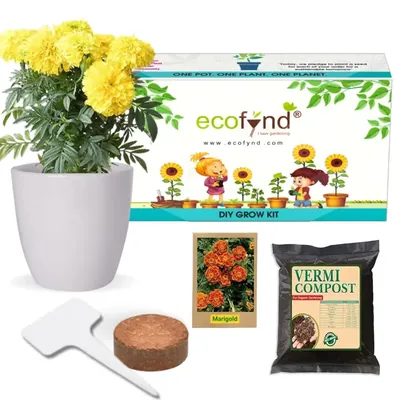 Ecofynd GROWKIT009 Grow Kit Of Marigold Flower DIY Easy Grow it Yourself Gardening Kit for Home And Garden