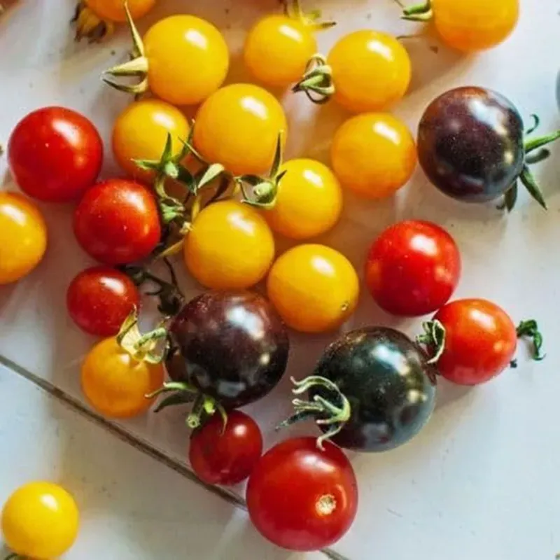 GEBDINSH Cherry Tomato Vegetables Seeds For Kitchen Gardening