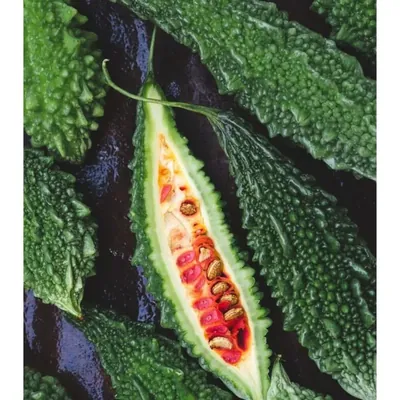 GEBDINSH Imported Bitter Gourd/Karela Vegetables Seeds For Kitchen Gardening