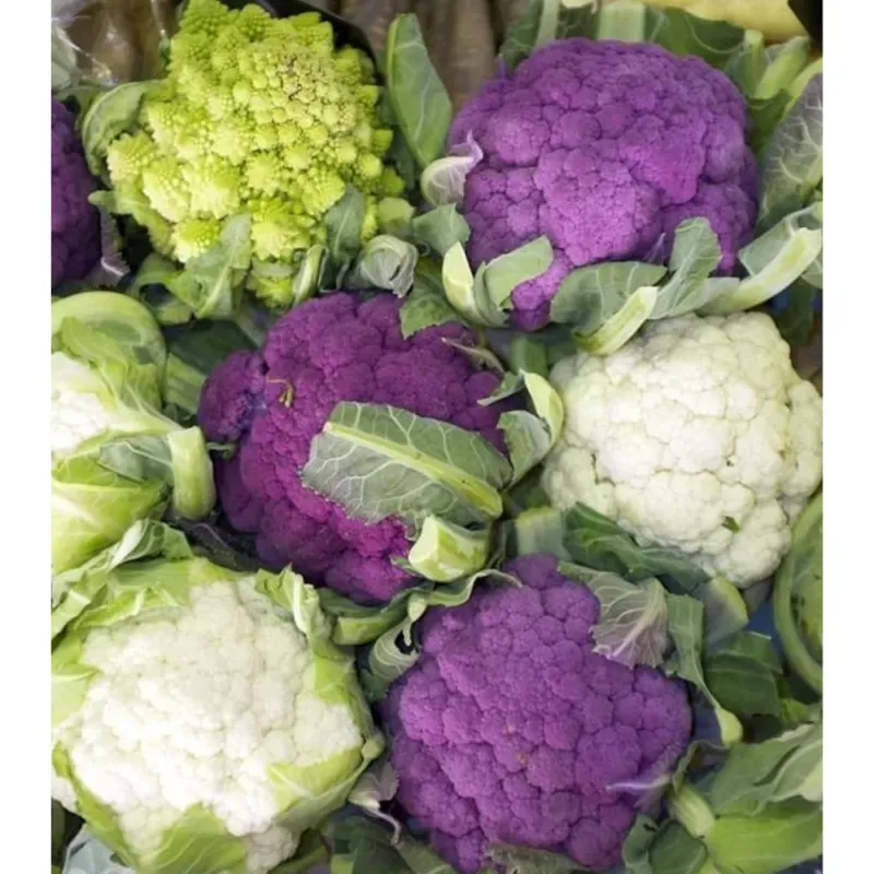 GEBDINSH Mix Cauliflower Vegetables Seeds For Kitchen Gardening