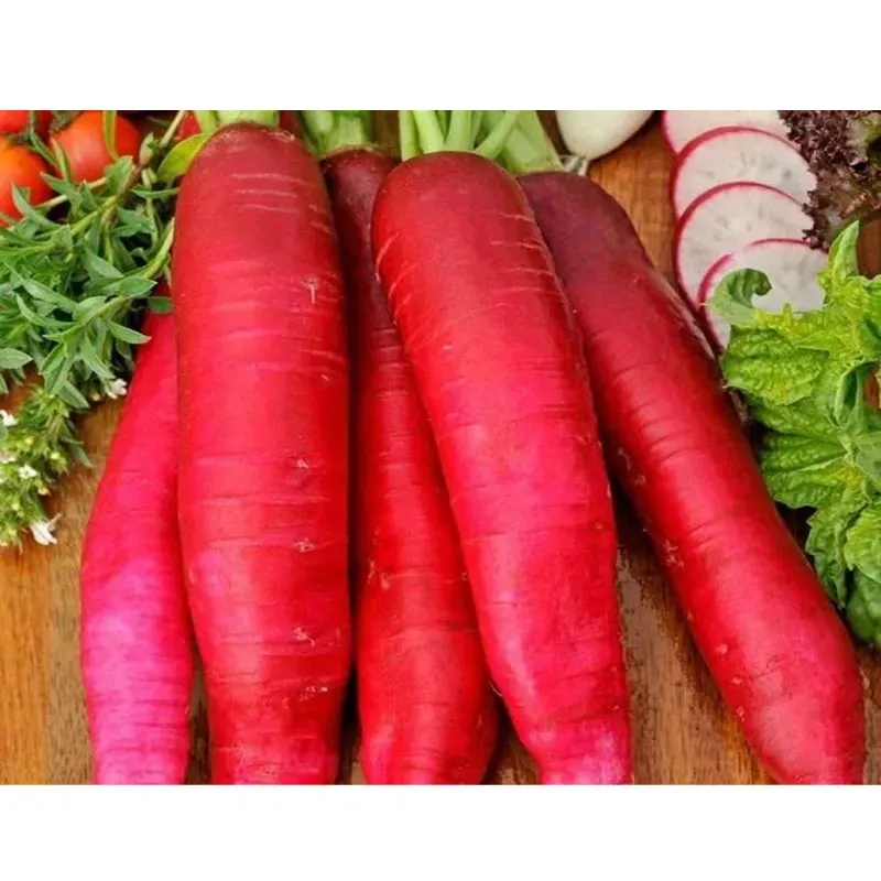 GEBDINSH Radish Red Long Vegetables Seeds For Gardening