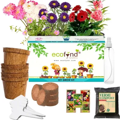 Ecofynd GROWKIT004-105 5-in-1 DIY GrowKit, Zinnia, Balsam, Dahlia, Aster, Portulaca Garden Kit for Home & Garden