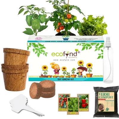 Ecofynd GROWKIT007-103 3in1 Salad Gardening Kit : Cherry Tomato, Capsicum Mix, Lettuce, Gardening Kit For Home & Garden