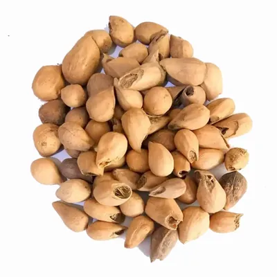 Pioneer Agro Gmelina Arborea Tree Seeds, Kumli Maram Seeds -(100g)