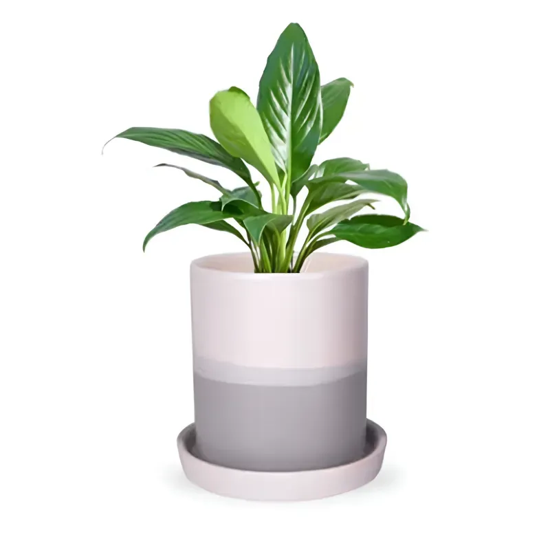 Ecofynd Grey & White Ceramic Plant Pots, 1 Pot, Used for Home and Garden Decor