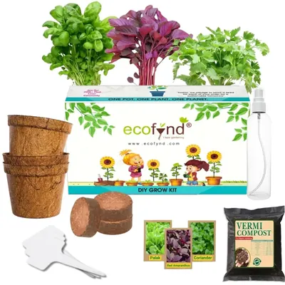 Ecofynd GROWKIT006-103 3 in 1 DIY Grow Kits, Red Amaranth, Spinach & Coriander, Gardening Kit For Home And Garden