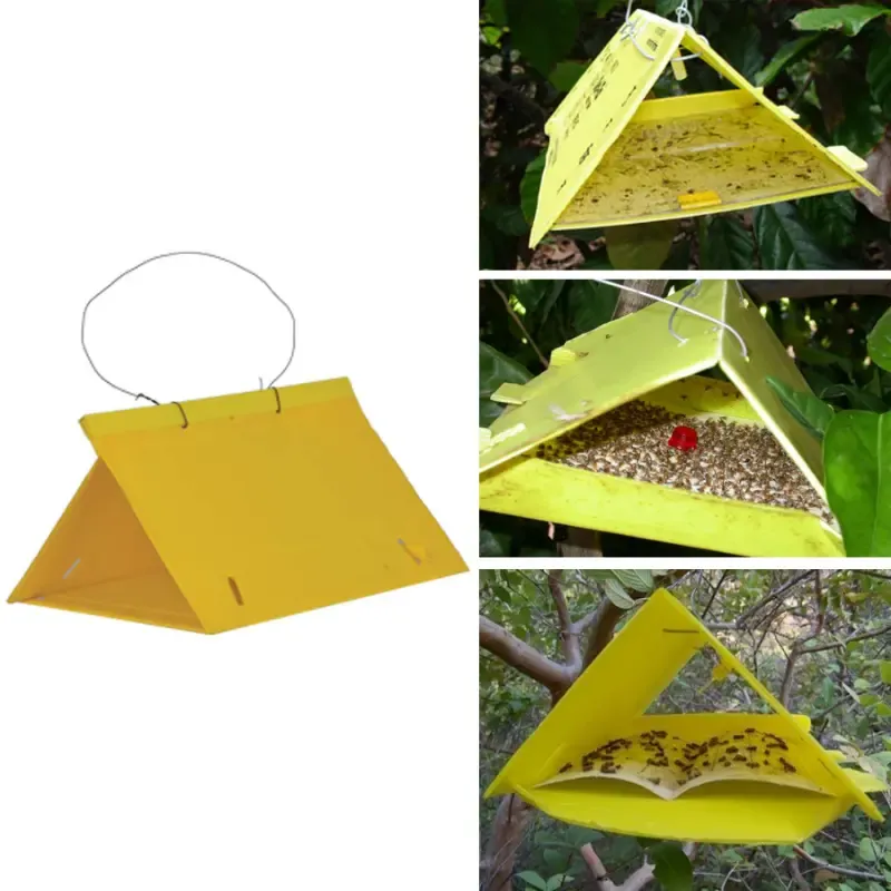 Delta Trap of 3 mm Thickness, 25 cm Length and 20 cm Width (Pack-25 Pcs)