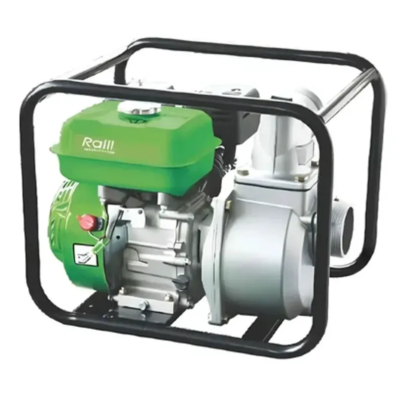 Ralli RP-20, 6.5 HP, 196 CC, 2 Inch Petrol Operated Water Pump For Irrigation Purposes