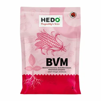 Hedo 1 kg BVM Powder, Beauveria + Verticillum+ Metarhizium, Consortia To Control Insect