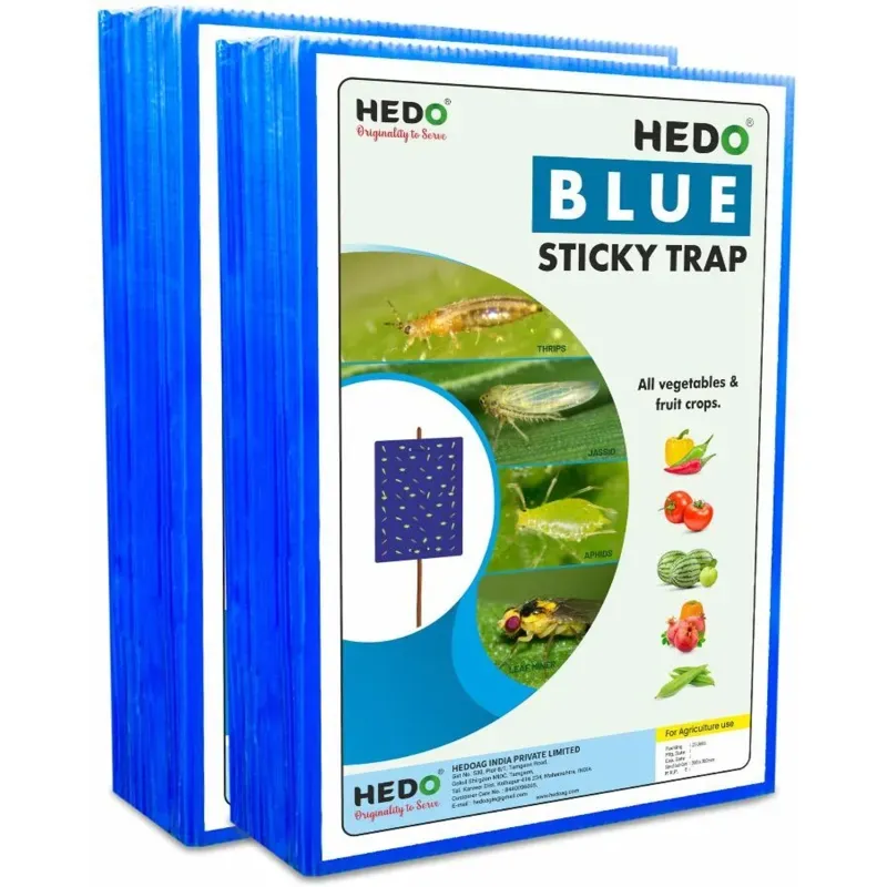 Hedo A4 Blue Sticky Trap (Pack of 50, 2 Units) UV Resistant Waterproof Glue Trap for Garden & Greenhouse Pest Control
