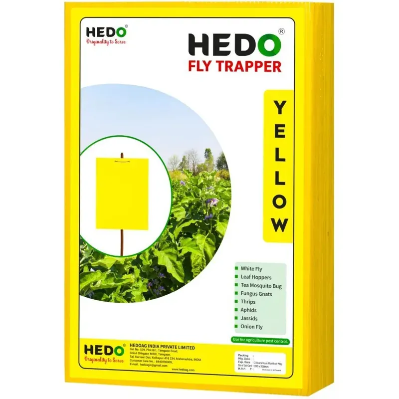 Hedo A4 Yellow Sticky Trap Pack of 25 (1 Unit)