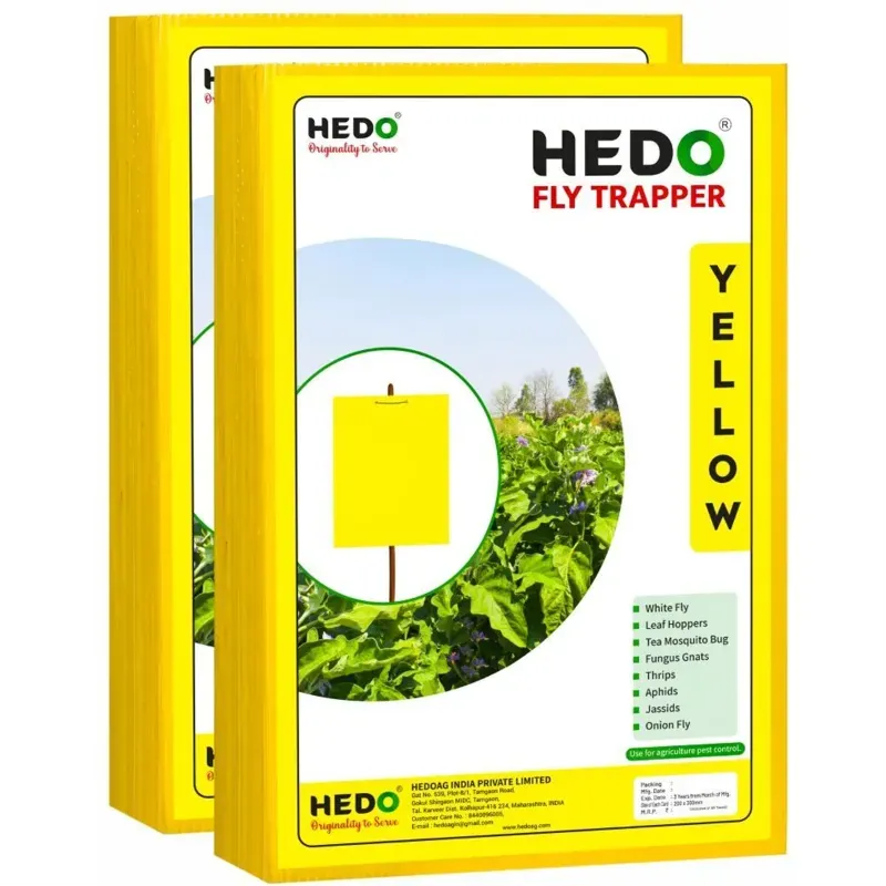 Hedo A4 Yellow Sticky Trap Pack of 50 (2 Unit)