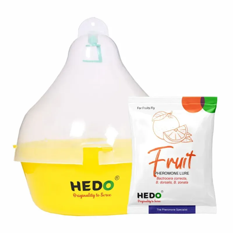 Hedo Fruit Fly Trap & Lure, Targets Bactrocera Dorsalis, Zonata & Correcta in All Fruits, Pack of 10