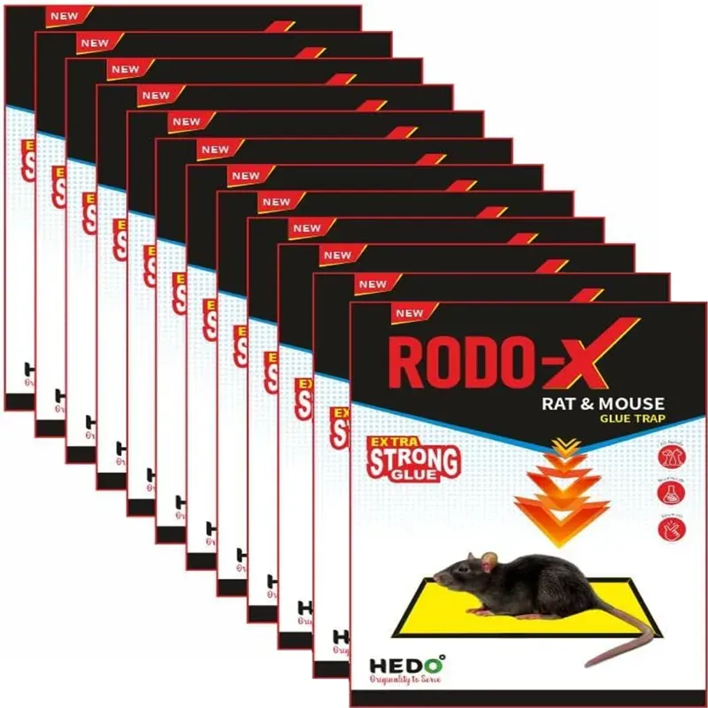 Hedo RODO-X Rat Big Size Trap, Pack of 12