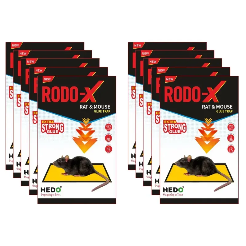 Hedo RODO-X Rat Small Size Trap, Pack of 10