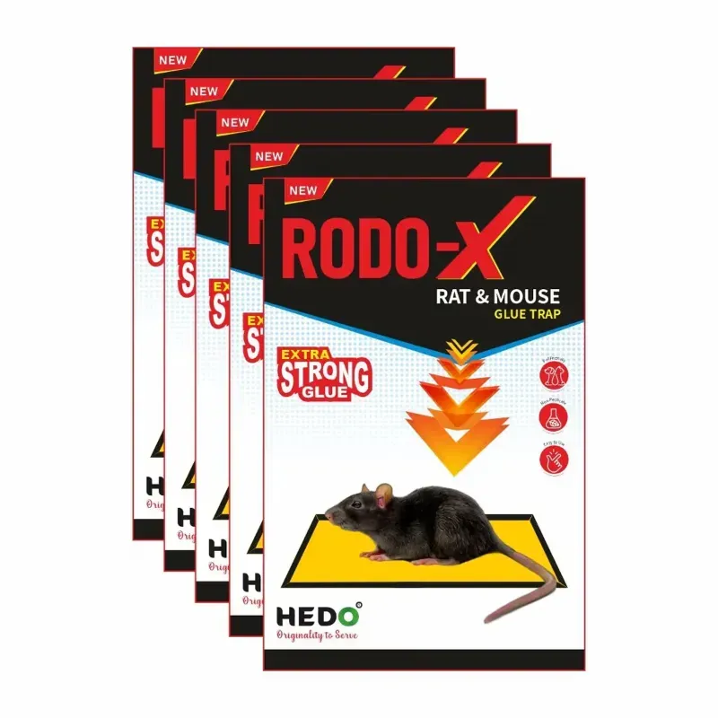 Hedo RODO-X Rat Small Size Trap, Pack of 5