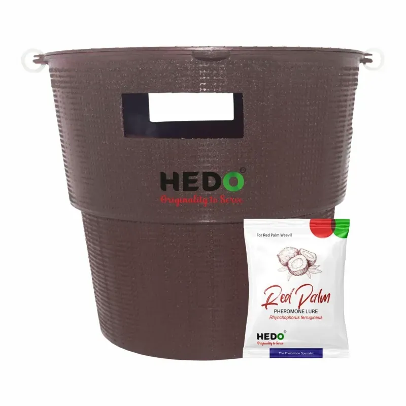 Hedo Red Palm Weevil Pheromone Bucket Trap, Controls Rhynchophorus Ferrugineus in Coconut & Date Palms, Pack of 2